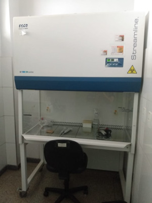 CSB ClasseIIA2